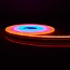 Nedis Neon style led slang Strip 5 meter RGB  Wi-Fi Smart