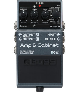 Boss IR-2 Amp & Cabinet