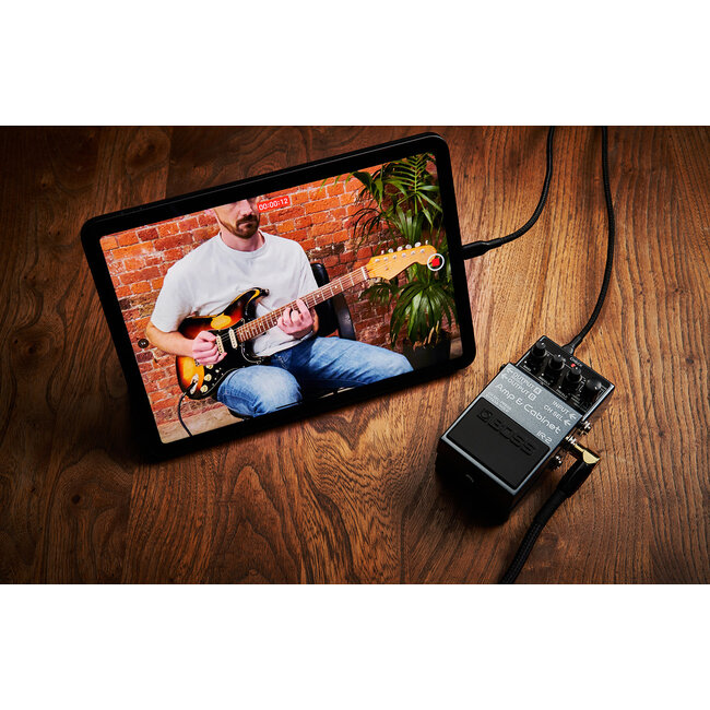 Boss IR-2 Amp & Cabinet