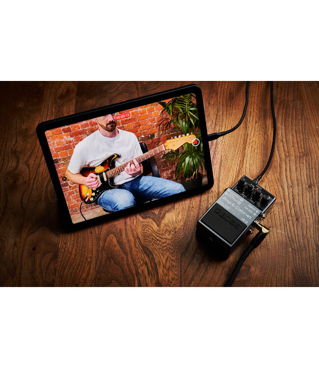 Boss IR-2 Amp & Cabinet