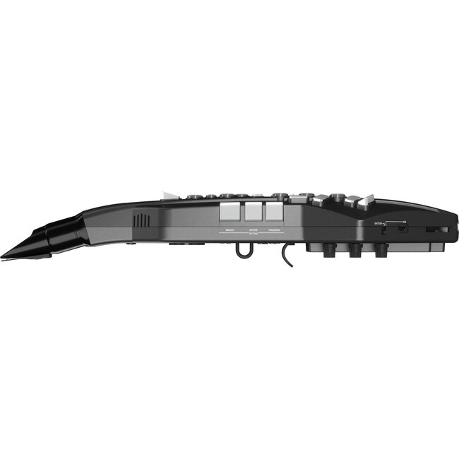 Roland AE-05 Aerophone GO digitaal blaasinstrument