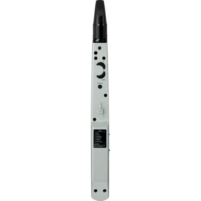 Roland AE-01 Aerophone Mini digitaal blaasinstrument