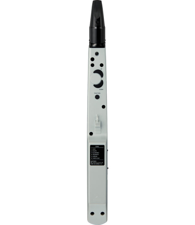 Roland AE-01 Aerophone digitaal blaasinstrument