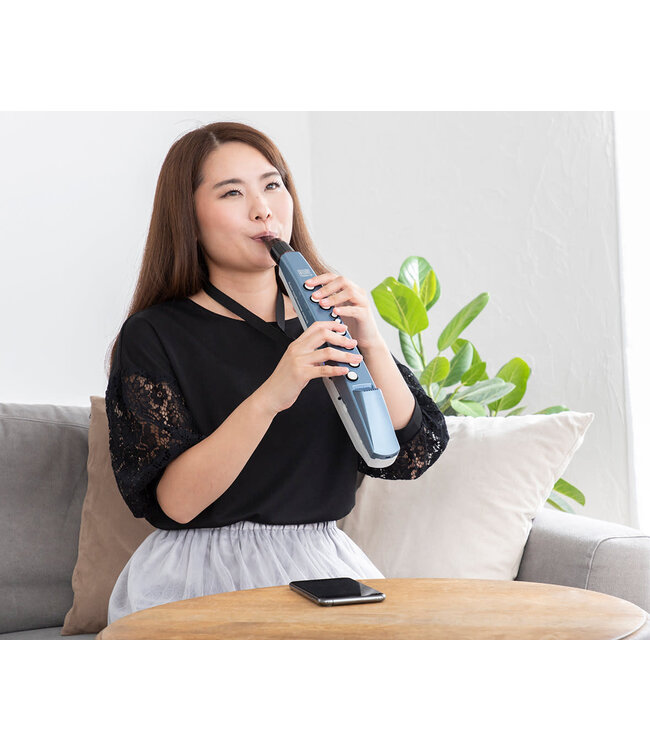 Roland AE-01 Aerophone digitaal blaasinstrument