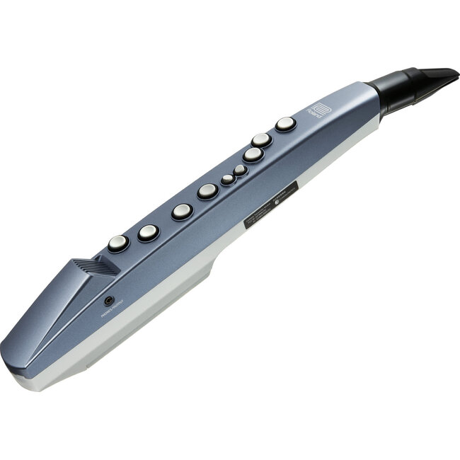 Roland AE-01 Aerophone digitaal blaasinstrument