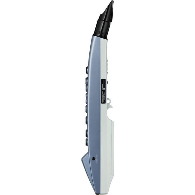 Roland AE-01 Aerophone digitaal blaasinstrument