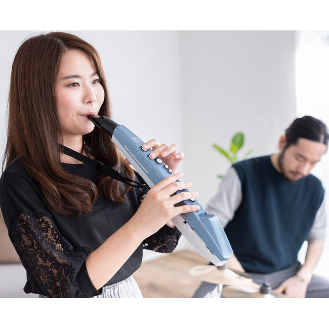 Roland AE-01 Aerophone Mini digitaal blaasinstrument