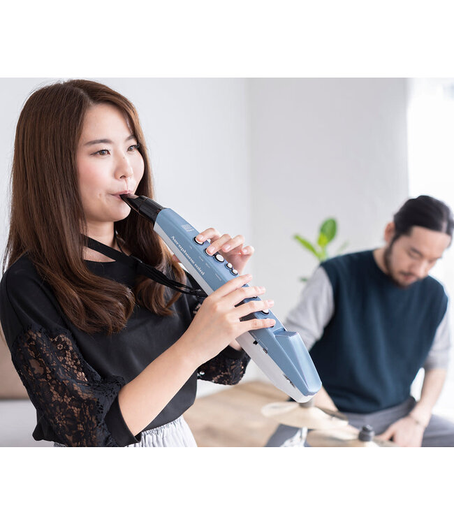 Roland AE-01 Aerophone digitaal blaasinstrument