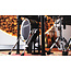 Roland TD713 V-Drums Kit Bundle + gratis DWCP2000 +RSH-10
