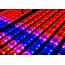 BeamZ LCB14 Hybrid LED BAR Pixel Control