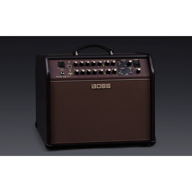 Boss ACS-PRO 120 watt Acoustic Singer Pro Acoustic Amplifier combo