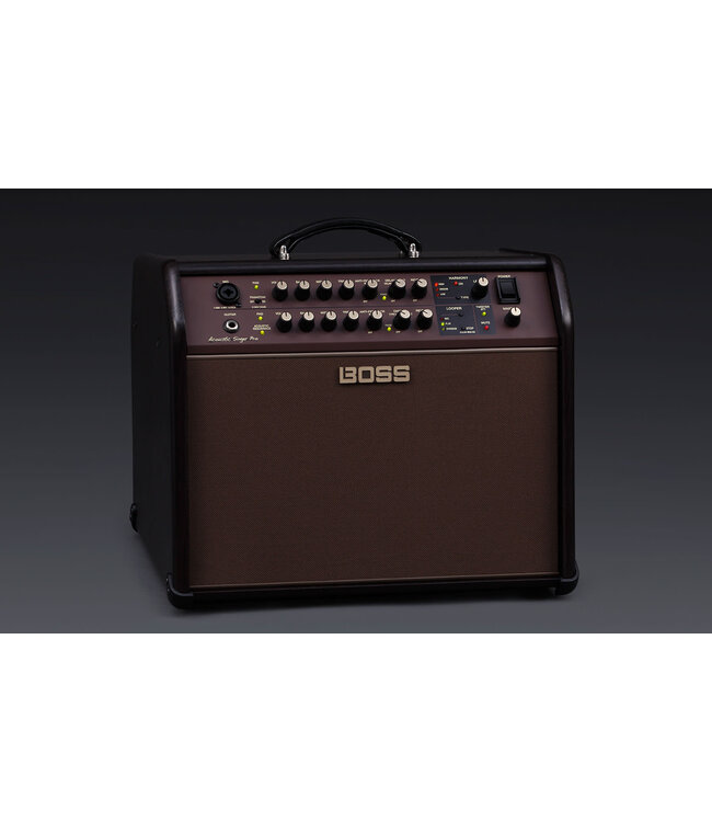 Boss ACS-PRO 120 watt Acoustic Singer Pro Acoustic Amplifier combo