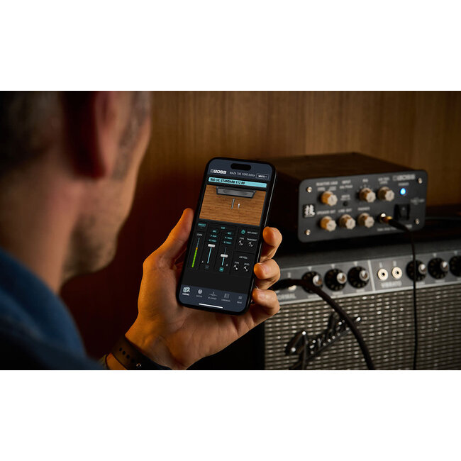 Boss Boss W-TAE CORE Waza Tube Amp Expander Core
