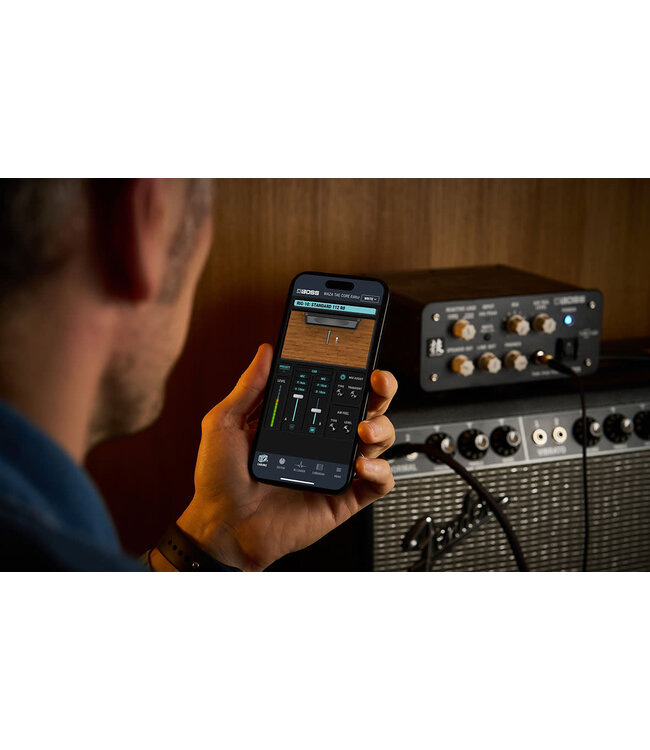 Boss Boss W-TAE CORE Waza Tube Amp Expander Core