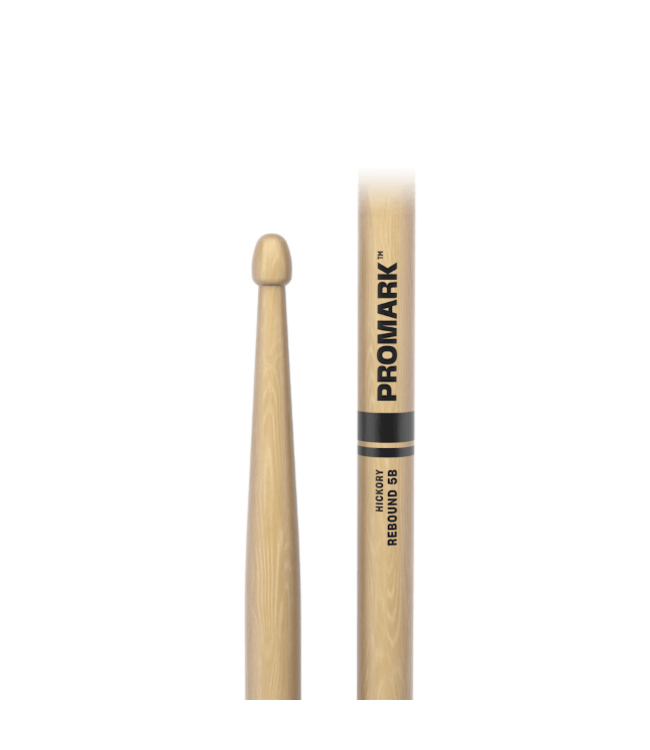 DAP RBH595AW Rebound 5B Hickory Drumstick, Acorn Wood Tip
