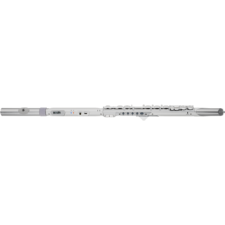 Roland Aerophone Brisa Digital Wind Instrument AE-BRISA