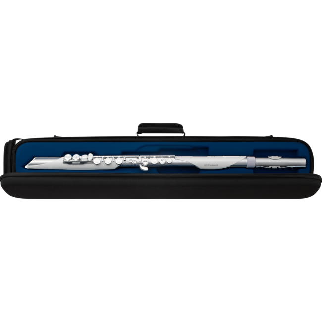 Roland Aerophone Brisa Digital Wind Instrument AE-BRISA