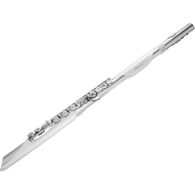 Roland Aerophone Brisa Digital Wind Instrument AE-BRISA
