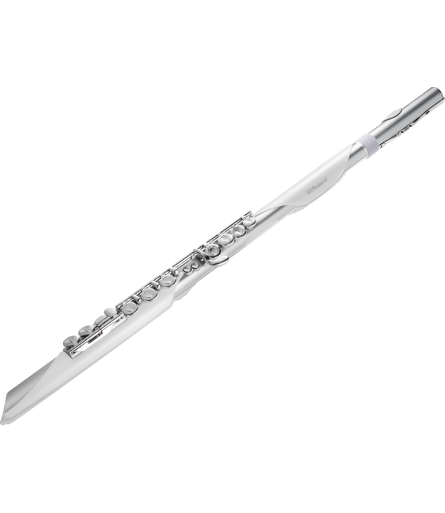 Roland Aerophone Brisa Digital Wind Instrument AE-BRISA