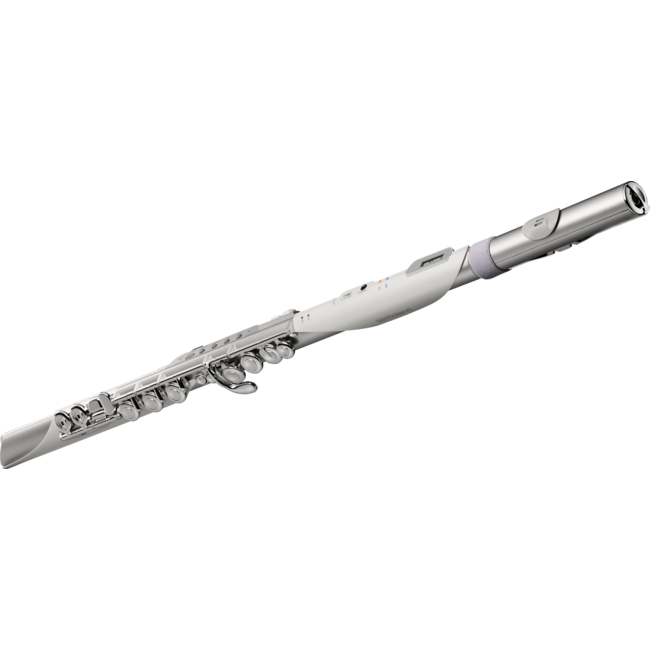 Roland Aerophone Brisa Digital Wind Instrument AE-BRISA