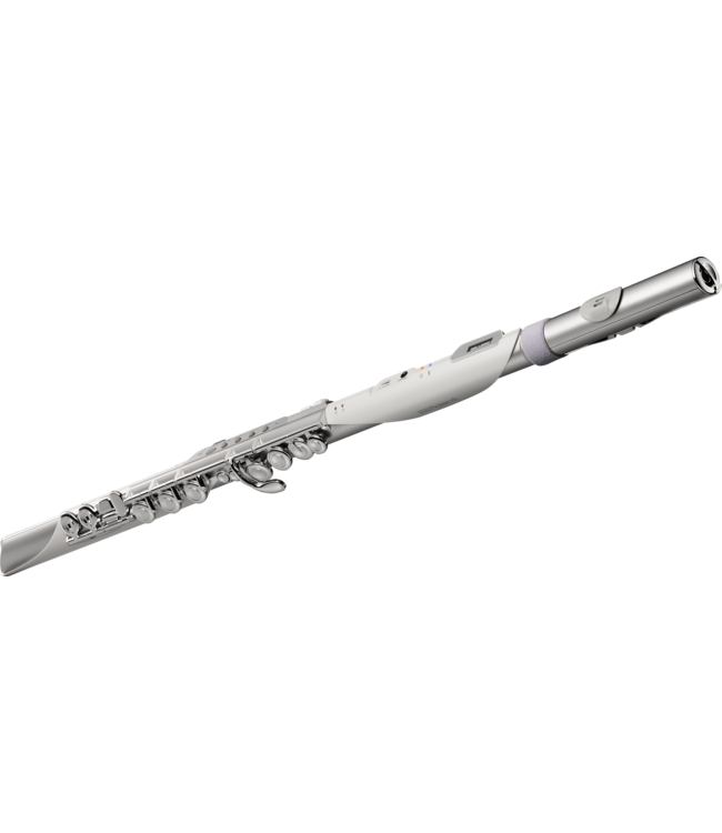 Roland Aerophone Brisa Digital Wind Instrument AE-BRISA