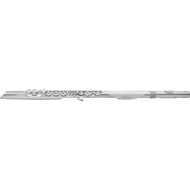 Roland Aerophone Brisa Digital Wind Instrument AE-BRISA