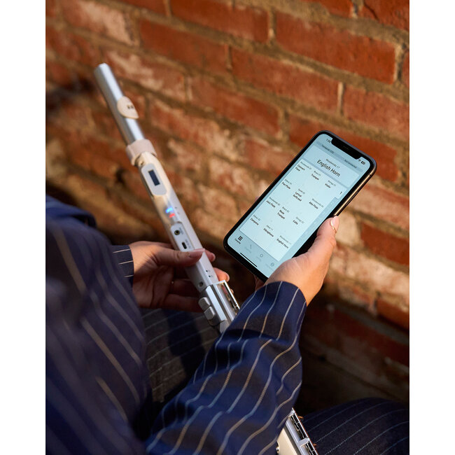 Roland Aerophone Brisa Digital Wind Instrument AE-BRISA