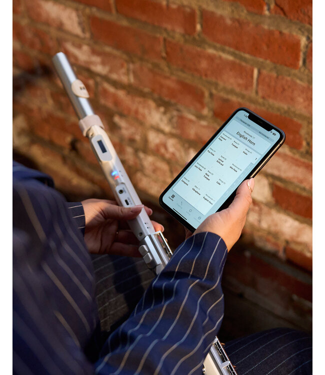 Roland Aerophone Brisa Digital Wind Instrument AE-BRISA