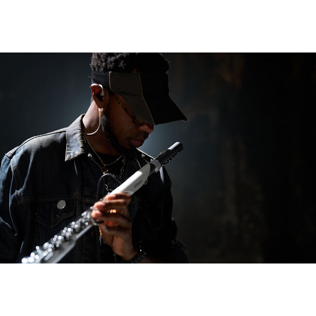 Roland Aerophone Brisa Digital Wind Instrument AE-BRISA