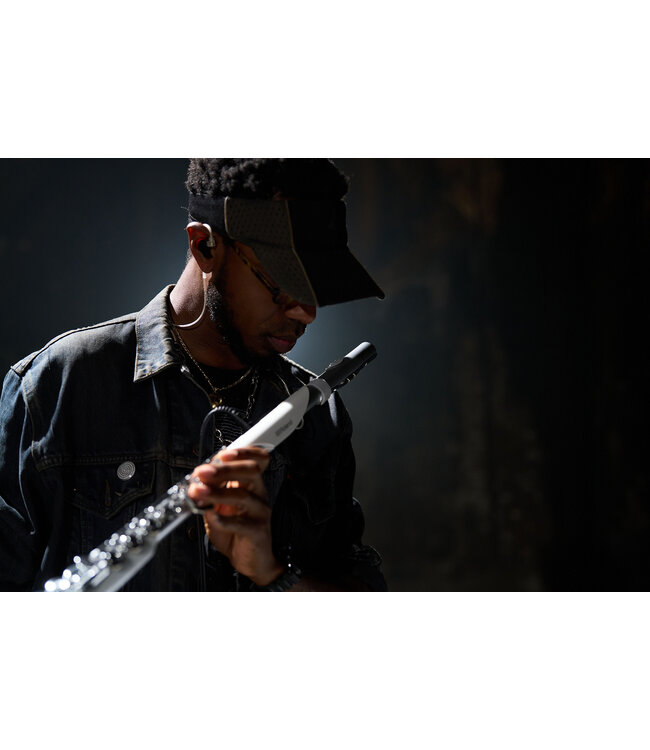 Roland Aerophone Brisa Digital Wind Instrument AE-BRISA