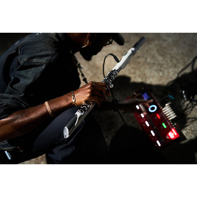 Roland Aerophone Brisa Digital Wind Instrument AE-BRISA