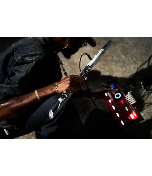 Roland Aerophone Brisa Digital Wind Instrument AE-BRISA