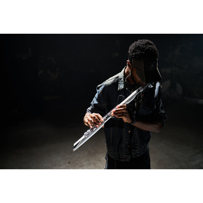 Roland Aerophone Brisa Digital Wind Instrument AE-BRISA