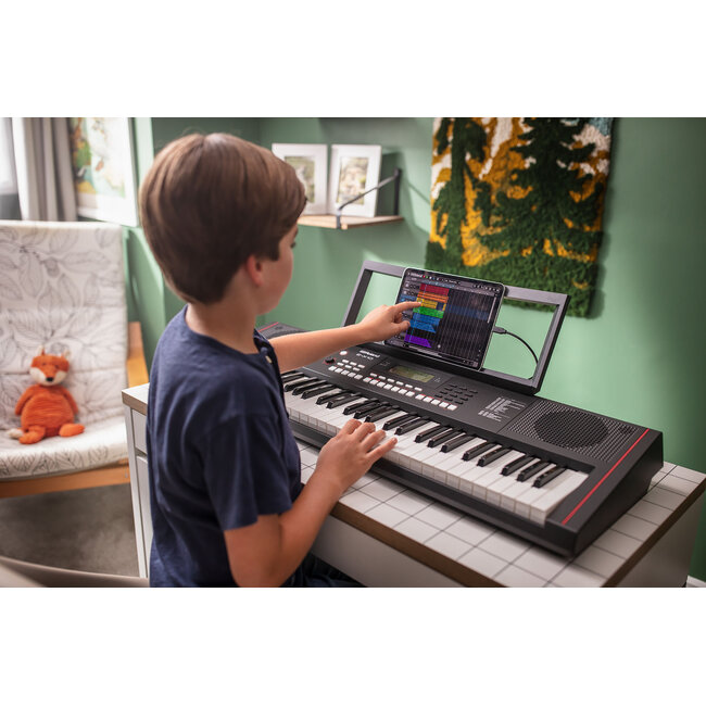 Roland E-X10 Arranger Keyboard