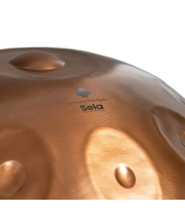 Sela SELA SE-321 Harmony Handpan D Amara 10 Phoenix Steel