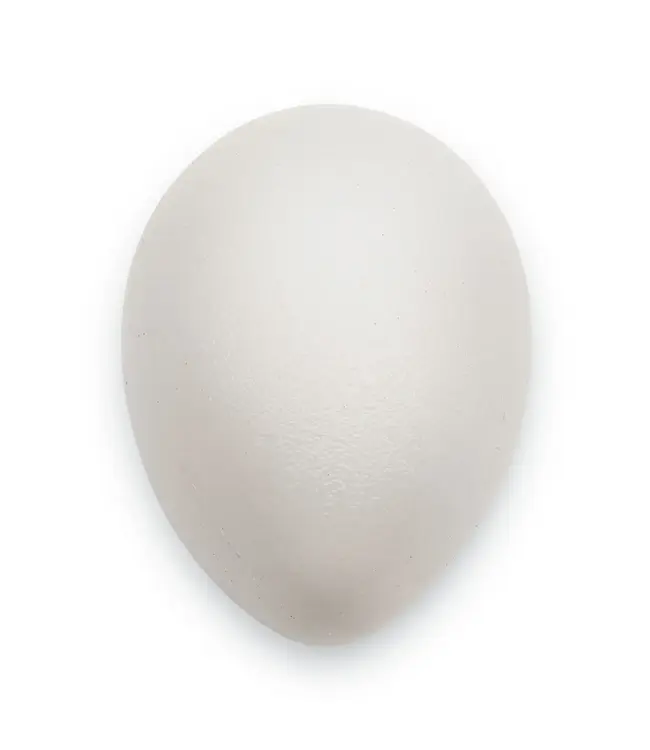 LP Latin Percussion LP004-GLO egg shakers glow in the dark