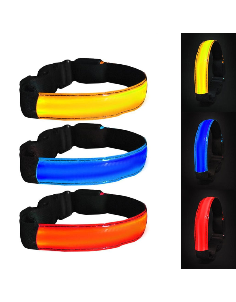 LaRoo Leuchthalsband Für Hunde - Wasserdichtes LED Halsband Mit Blinkfunktion Für Nachtsicherheit