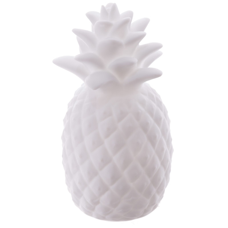 Ananas Gekleurde Veranderende LED Lichtjes