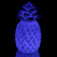 Ananas Gekleurde Veranderende LED Lichtjes