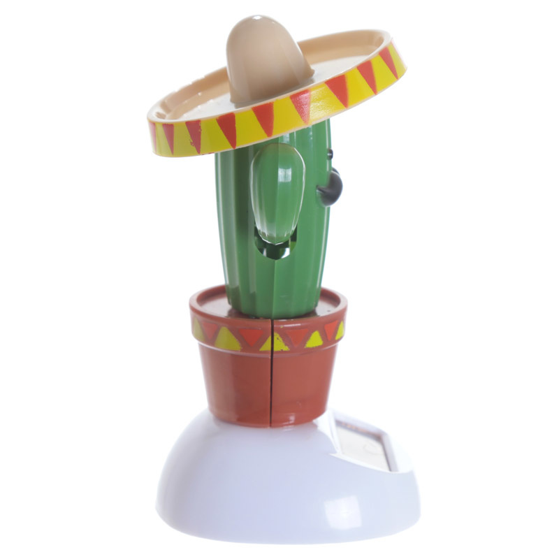 Cactus met Sombrero Solar Pal