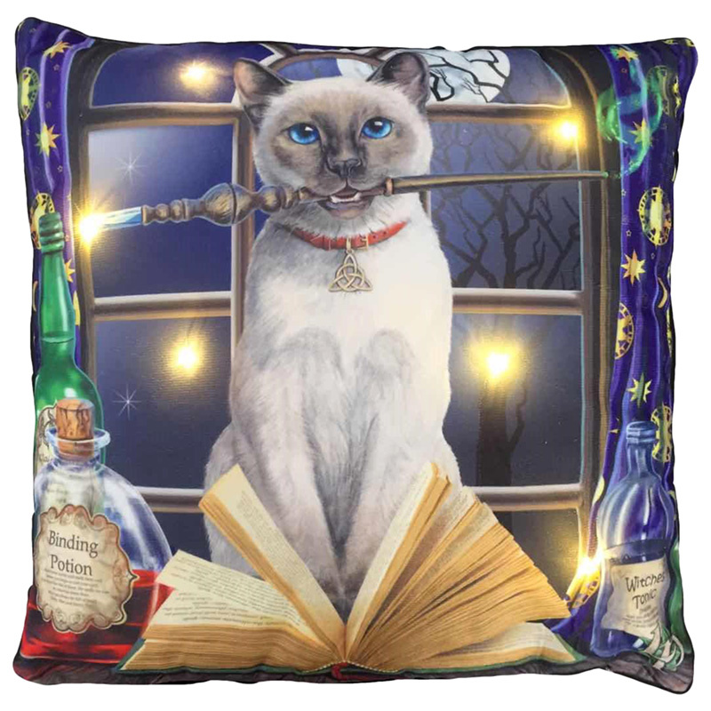 Lisa Parker Hocus Pocus Magische Kat LED Sierkussen