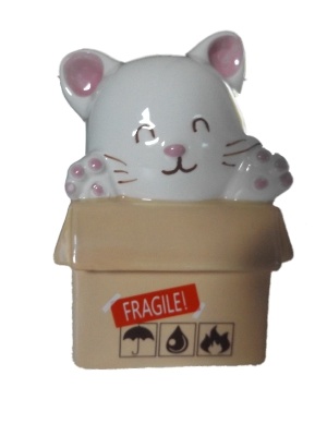 Keramiek Kat in een doos Spaarpot