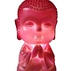 Baby Boeddha licht met 8 LED met USB-poort