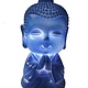 Baby Boeddha licht met 8 LED met USB-poort