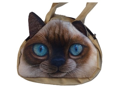 Tas Kat
