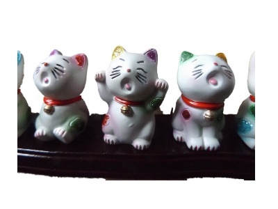 Lucky cat verzameling op plaat