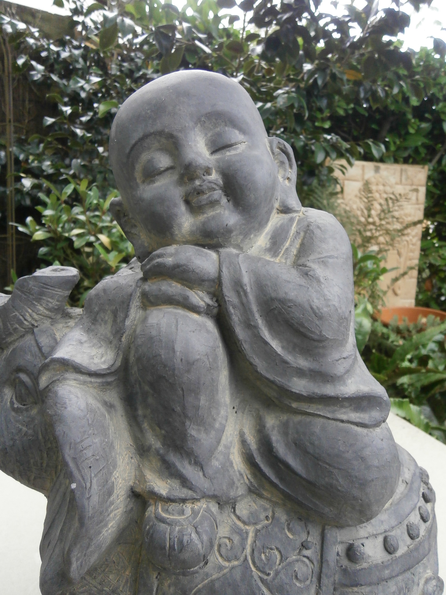 Kindmonnik op olifant