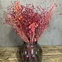 Droogbloemen boeket roze mix