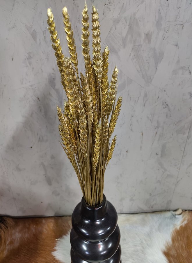 Droogbloemen Triticum goud