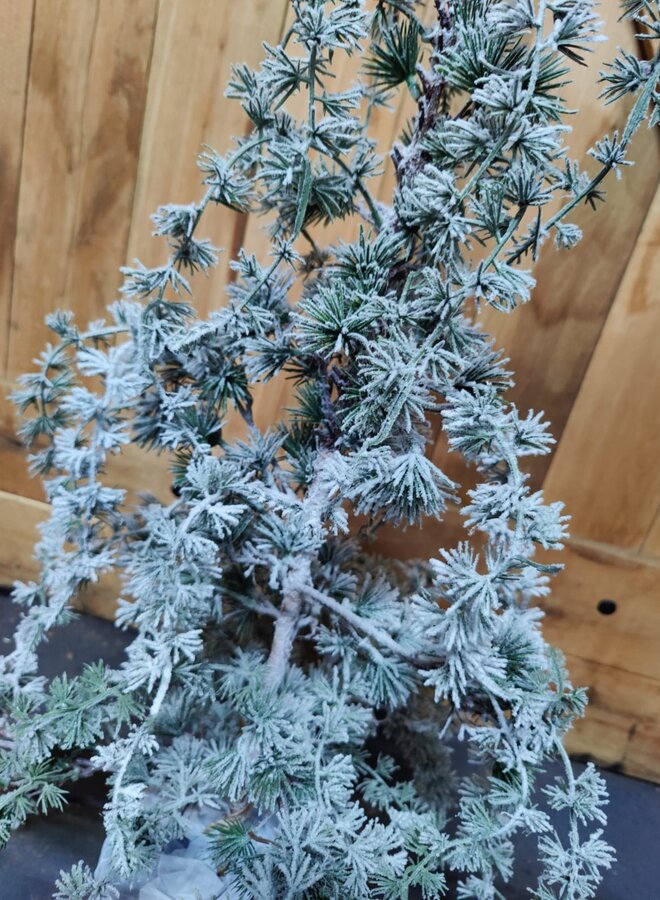 Decoratieve Winterboom